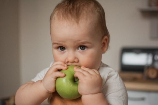A baby holding a green apple with both hands and biting it